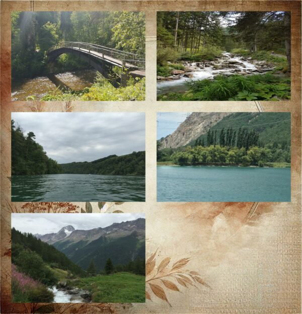 Collage of scenic Swiss landscapes featuring a wooden bridge over a stream, a forest river, serene lakes, and majestic alpine mountains, showcasing the natural beauty of Switzerland.